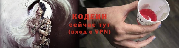 гашик Иннополис