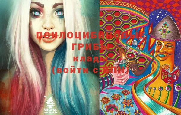 гидропоника Белоозёрский