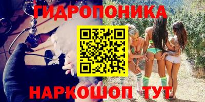 стаф Бузулук