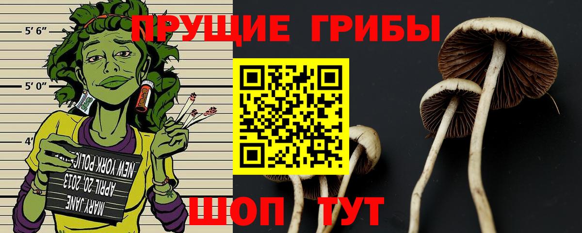 Дагестанские Огни  Псилоцибиновые грибы мухоморы  Вход с VPN 