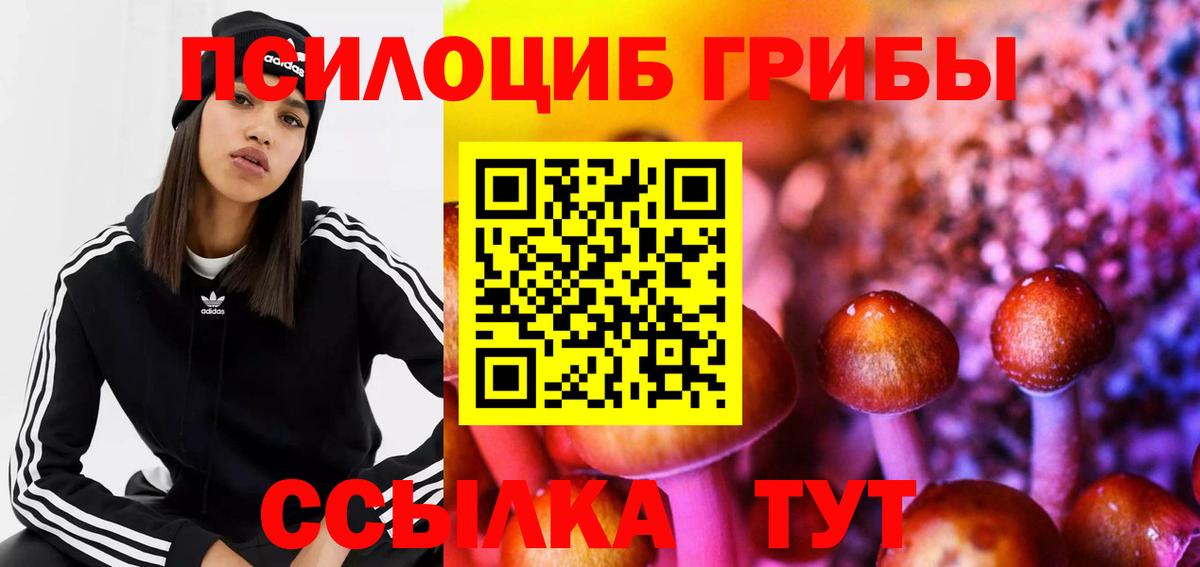 Галлюциногенные грибы Psilocybine cubensis Дагестанские Огни